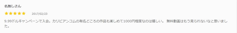 Hey動画月額見放題プランの口コミ
