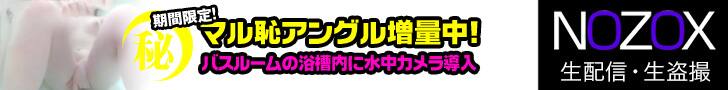 NOZOX (ノゾックス) の安全性と評価、支払い方法や口コミや体験レビュー