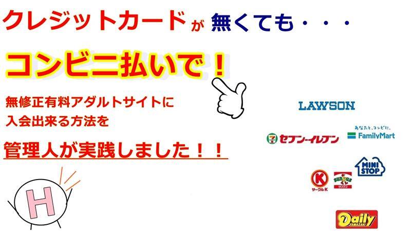 アダルトサイトVプリカ払い