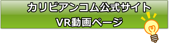 カリビアンコムのVR無修正動画