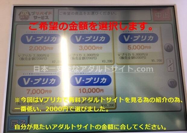 カリビアンコムVプリカ