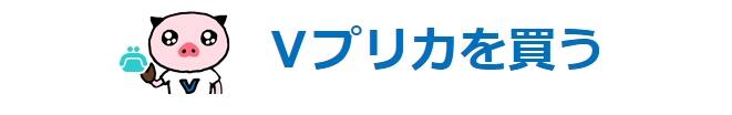 カリビアンコムで使えるプリペイドカードって何？カリビアンコムで使えるVプリカとは？